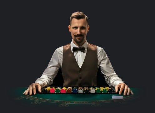 Evolution Live Casino area on bb444 for Bangladesh mobile browsing comfort