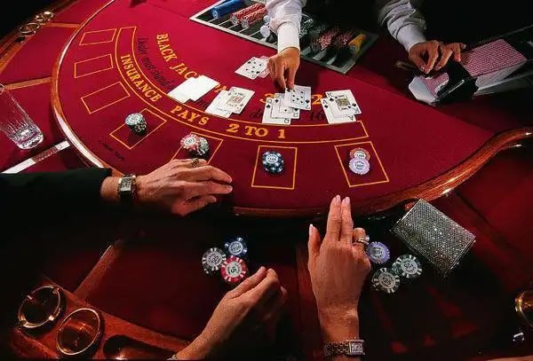 bb444 sports and casino style overview for cricket and football fans